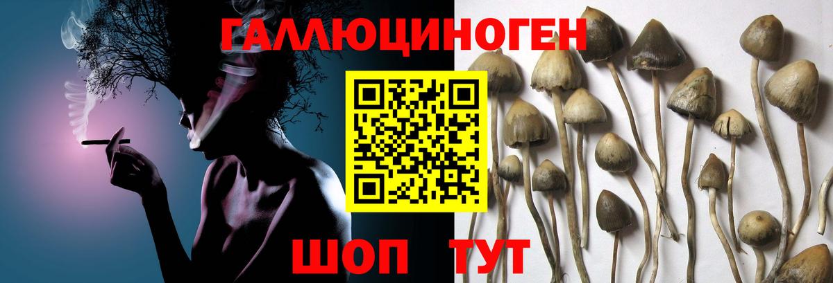 Псилоцибиновые грибы прущие грибы  наркошоп  Верхняя Салда  Галлюциногенные грибы Psilocybine cubensis  Вход с VPN 